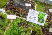 2021-05-17_Botanicky ustav Trebon_web-15