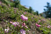 2021_07_15_LetosAVPruhonice (11)