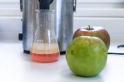 Moderní šlechtění se opírá o spoustu měřitelných parametrů z laboratoře.