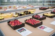 Pokud nová odrůda svými vlastnostmi co nejpřesněji odpovídá současným požadavkům a trendům, či má nějakou další přidanou hodnotu, má potenciál regionálního, případně i globálního uplatnění.